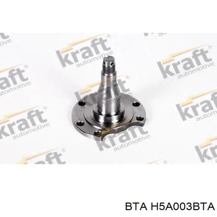 Цапфа - поворотний кулак задній BTA H5A003BTA ціна, від 16.47 USD