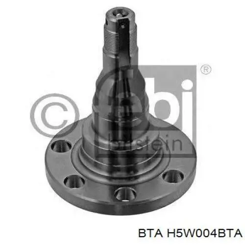 Кулаки поворотні задньої підвіски BTA H5W004BTA