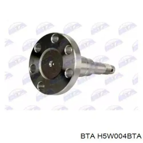 Цапфа - поворотний кулак задній BTA H5W004BTA ціна, від 12.01 USD