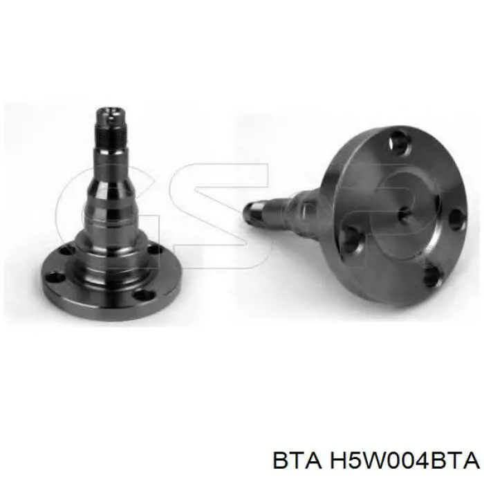 Цапфа - поворотний кулак задній H5W004BTA BTA