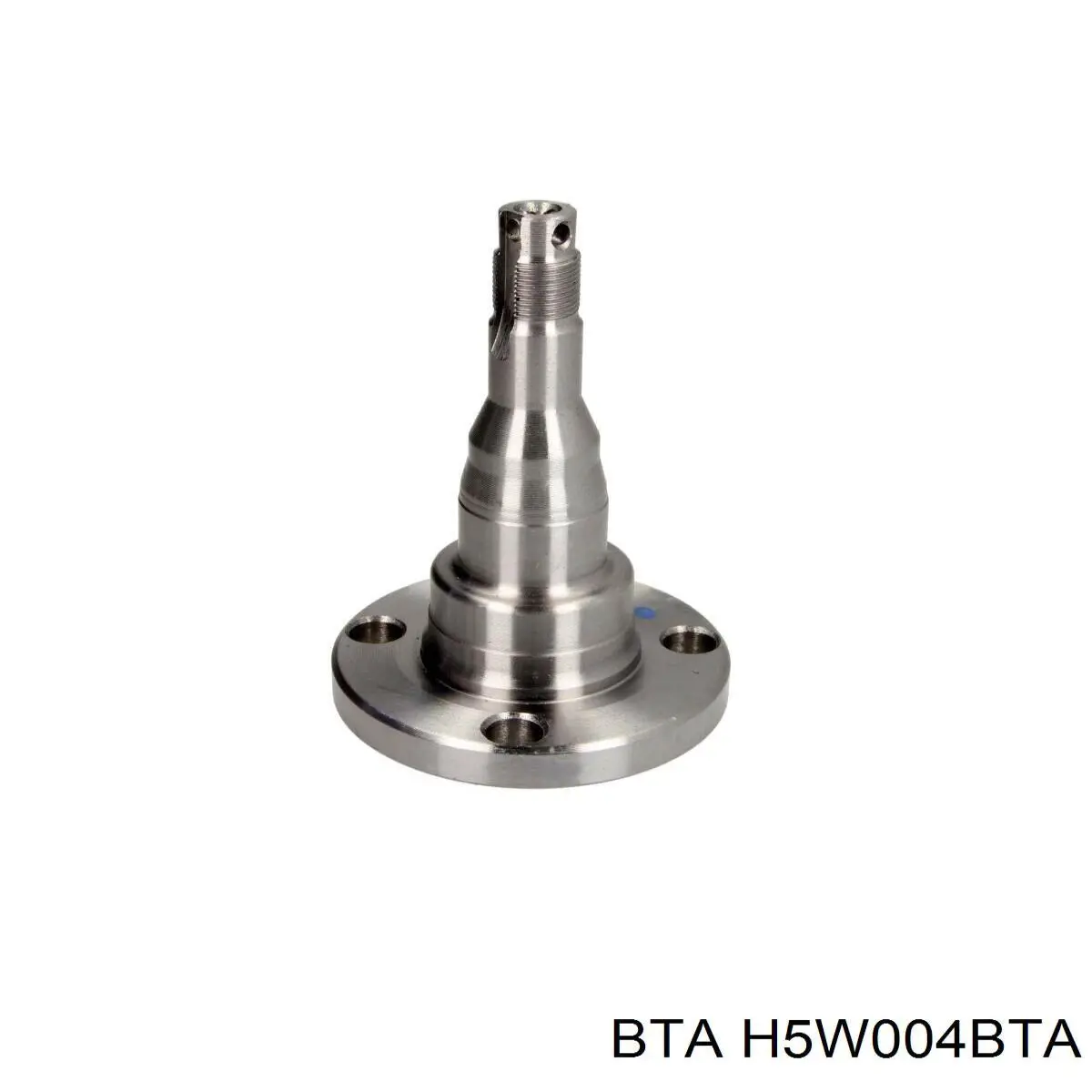 H5W004BTA BTA цапфа - поворотний кулак задній