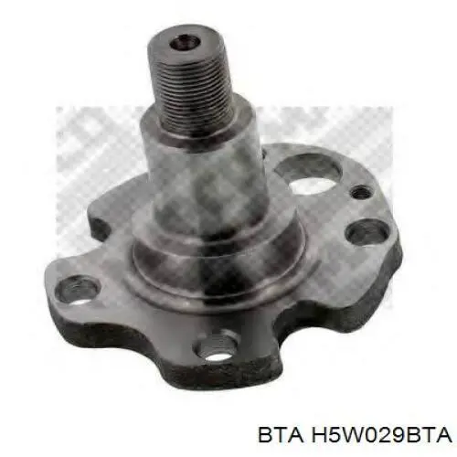 Кулаки поворотні задньої підвіски BTA H5W029BTA