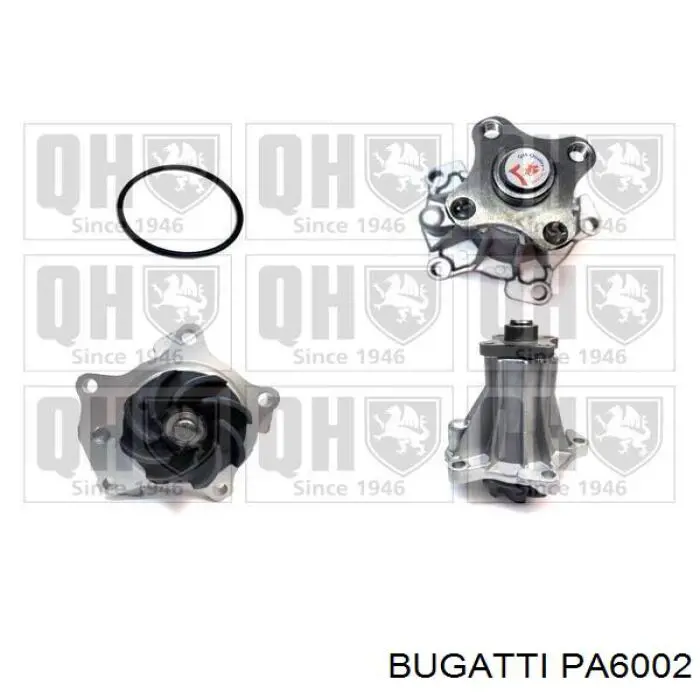 Купити PA6002 Bugatti Насос охолоджуючої рідини