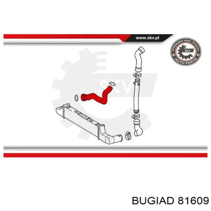 81609 Bugiad Трубка, що нагнітається