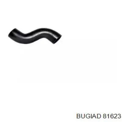 Купити 81623 Bugiad Патрубок повітряний, вихід з турбіни (наддув)