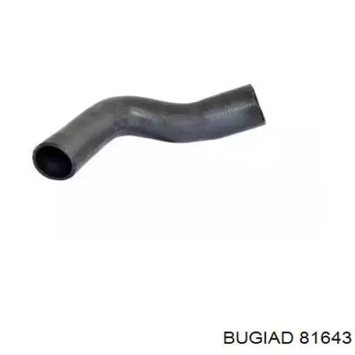 Шланг/патрубок интеркуллера Bugiad 81643 ціна, від 23.90 USD