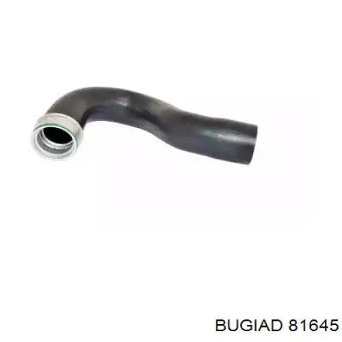 Шланг/патрубок интеркуллера Bugiad 81645 ціна, від 28.24 USD