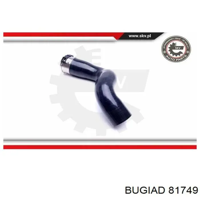 Шланг/патрубок интеркуллера Bugiad 81749 ціна, від 73.02 USD