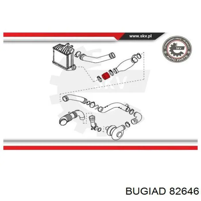 Шланг/патрубок интеркуллера Bugiad 82646 ціна, від 3.80 USD