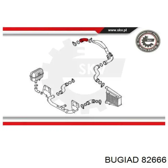 Купити 82666 Bugiad Шланг/патрубок интеркуллера