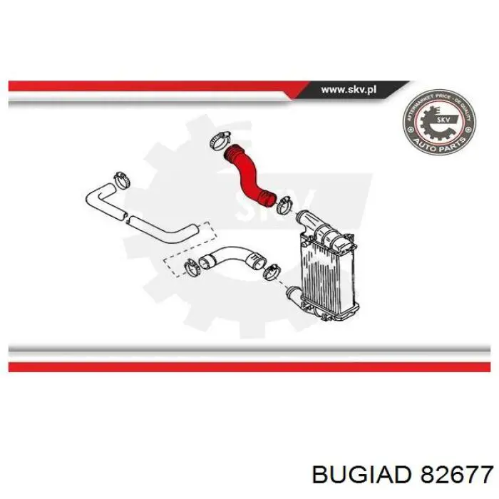 Шланг/патрубок интеркуллера Bugiad 82677 ціна, від 27.26 USD