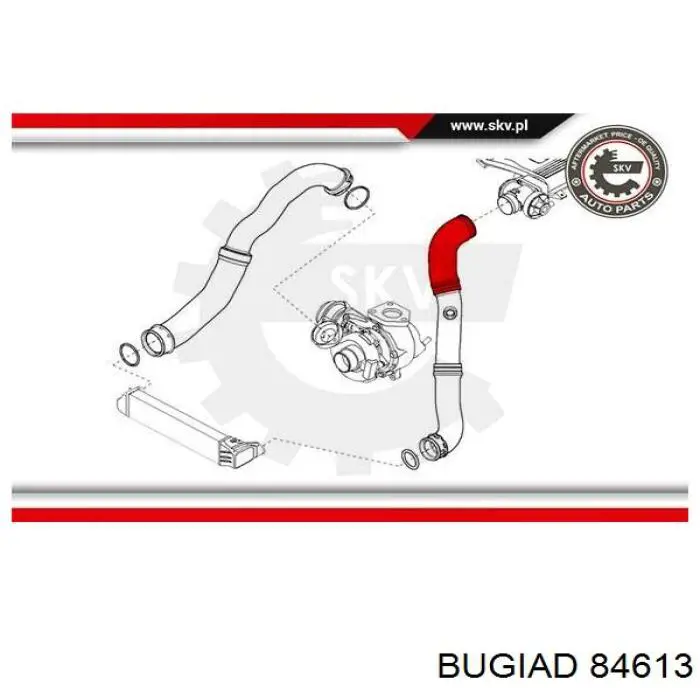 84613 Bugiad Трубка, що нагнітається