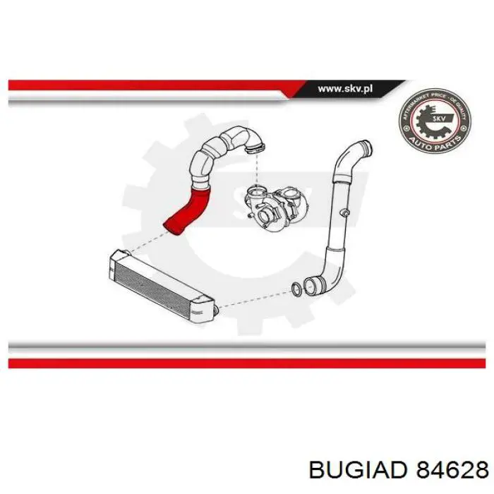 Шланг/патрубок интеркуллера Bugiad 84628 ціна, від 53.33 USD