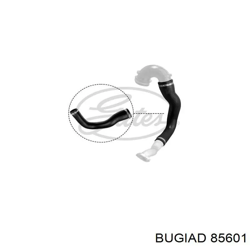 Купити 85601 Bugiad Шланг/патрубок интеркуллера