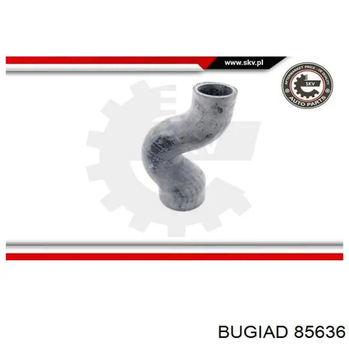 Шланг/патрубок интеркуллера Bugiad 85636 ціна, від 17.88 USD