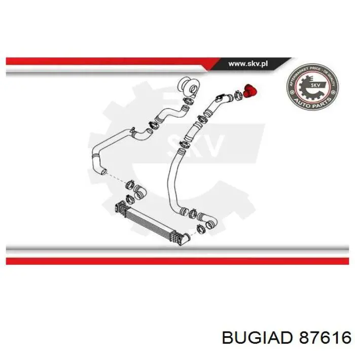 87616 Bugiad патрубок повітряний, дросельної заслінки