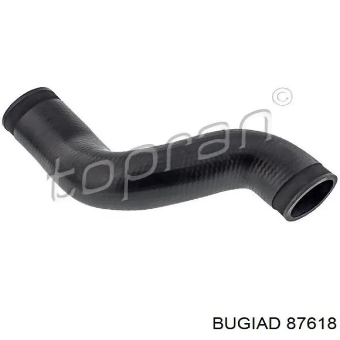 Шланг/патрубок интеркуллера Bugiad 87618 ціна, від 17.63 USD