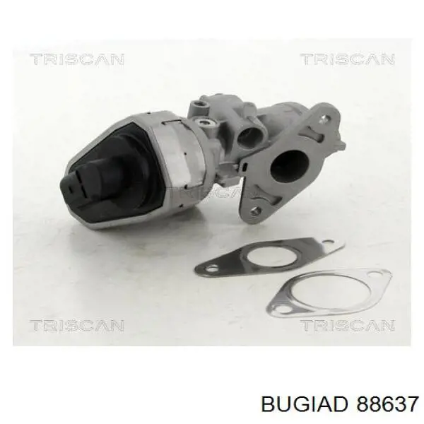 88637 Bugiad 