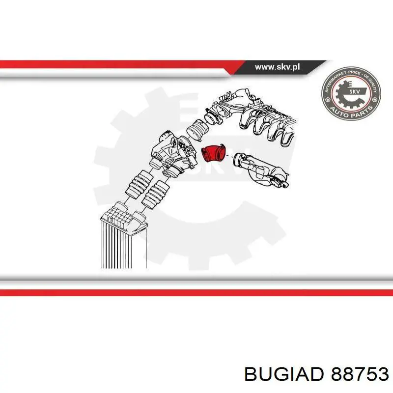 Патрубок повітряний, вхід в турбіну (наддув) Bugiad 88753 ціна, від 5.93 USD