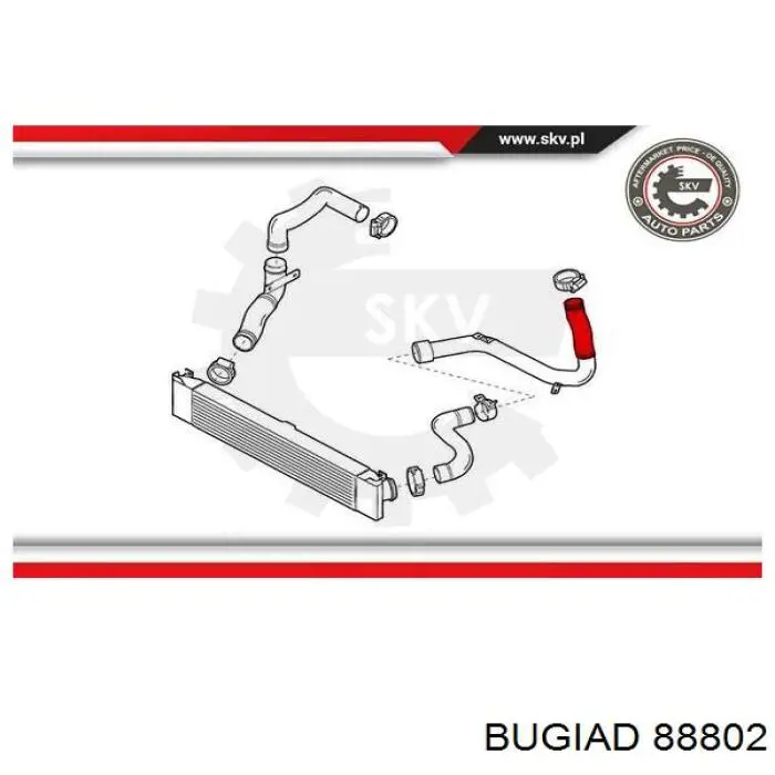 Купити 88802 Bugiad Шланг/патрубок интеркуллера