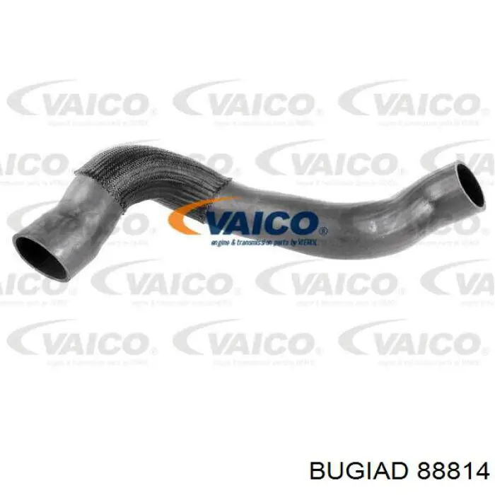 Шланг/патрубок интеркуллера Bugiad 88814 ціна, від 52.52 USD