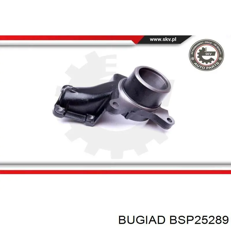 Купити 334679 Peugeot/Citroen Цапфа поворотного кулака