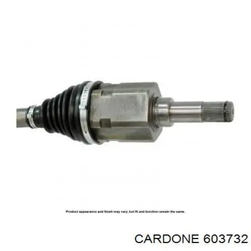  603732 Cardone