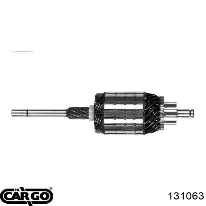 SA0021 AS/Auto Storm Якір (ротор) генератора