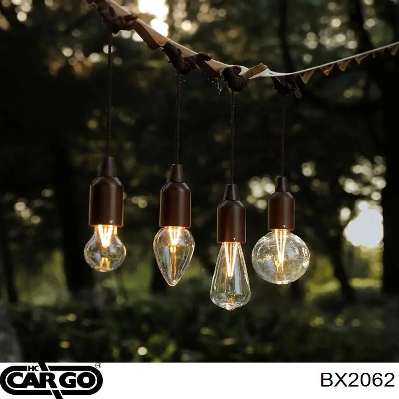 BX2062 Cargo Щітка генератора