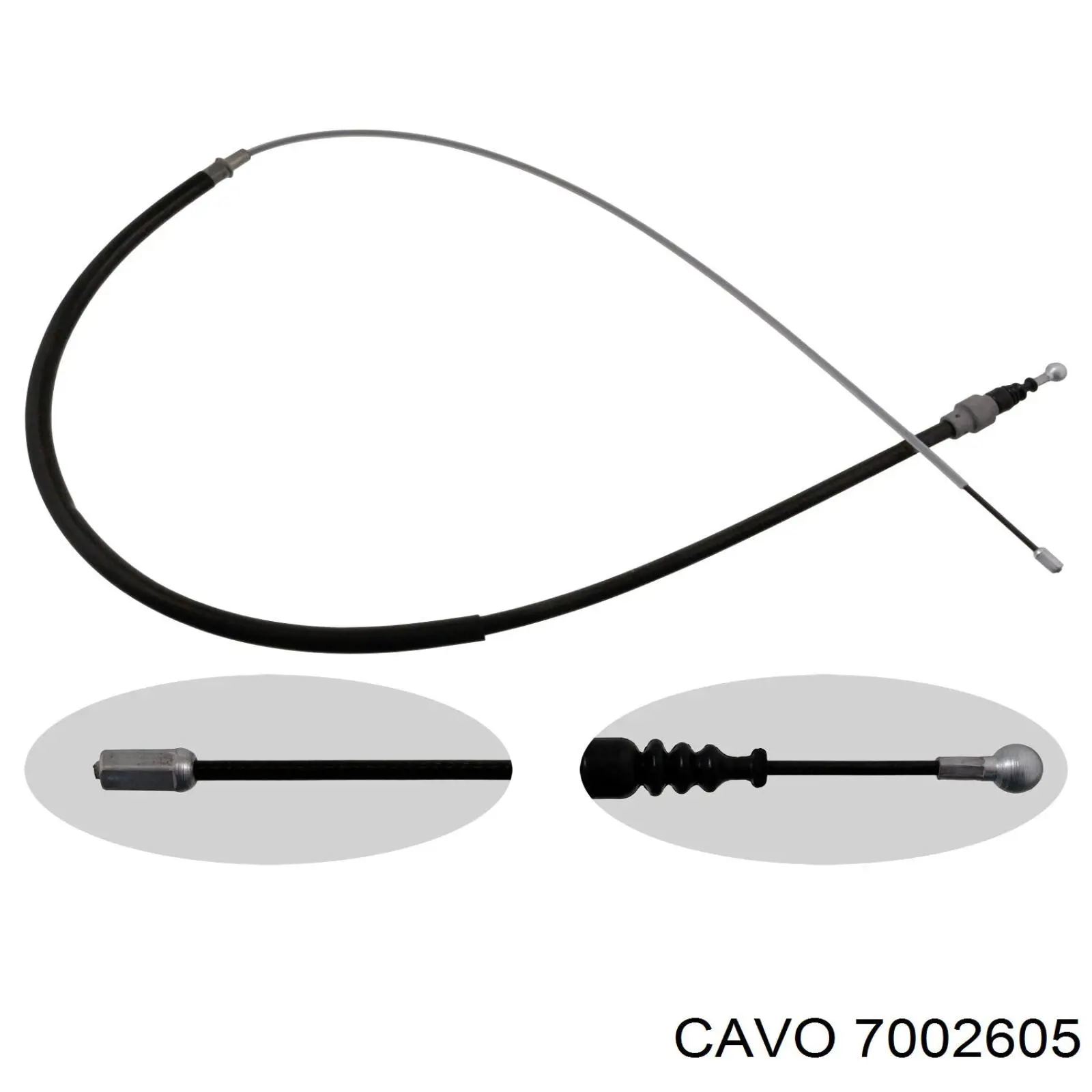  7002605 Cavo