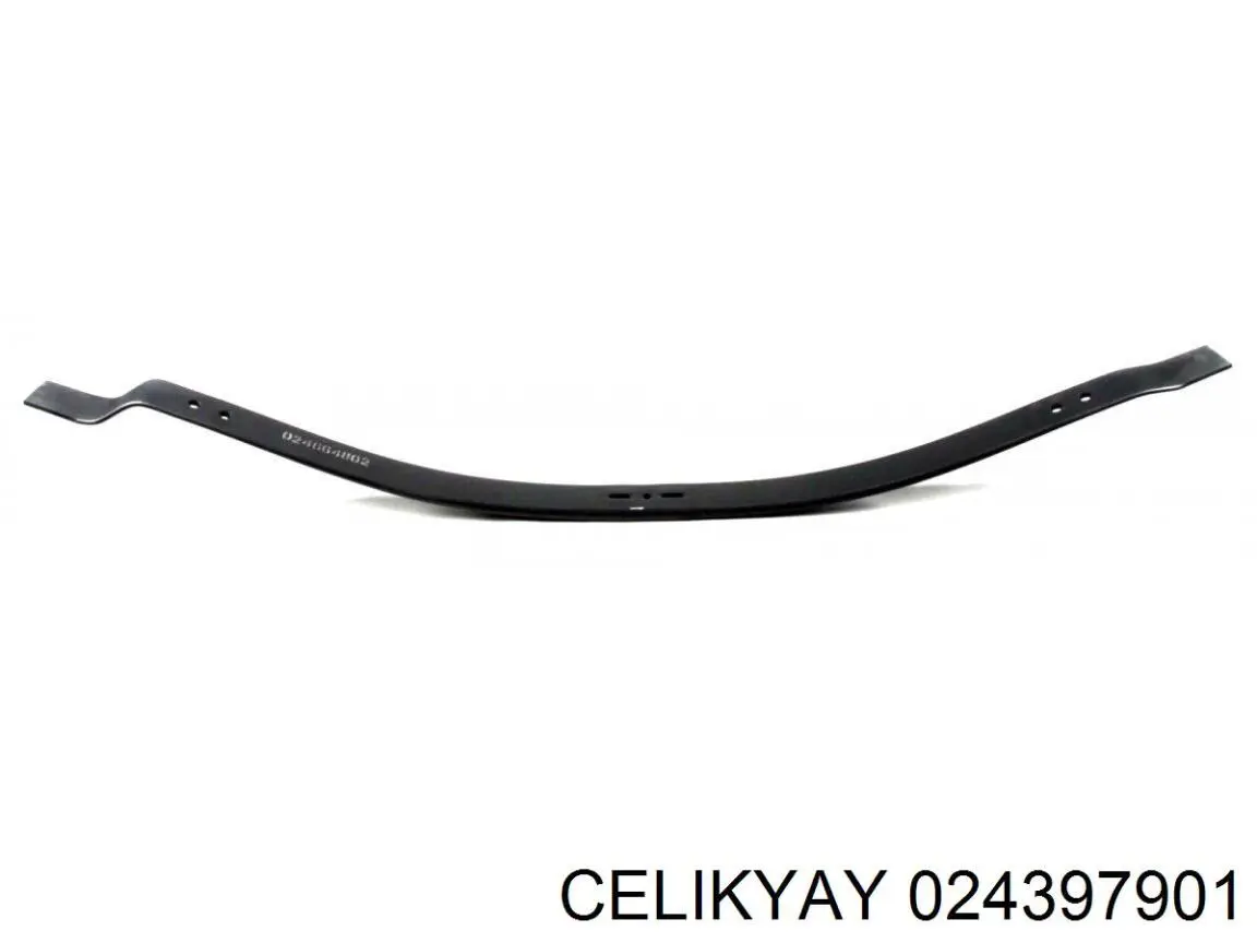 024397901 Celikyay 