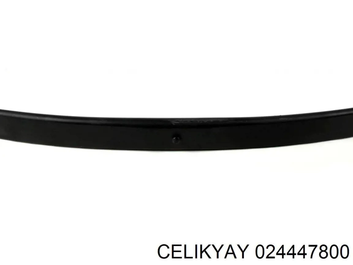 Купити 024447800 Celikyay Ресори задні (пружини задньої підвіски)