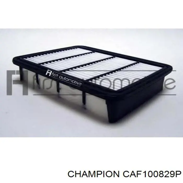 Фільтр повітряний Champion CAF100829P
