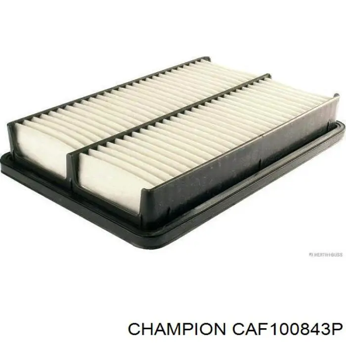 CAF100843P Champion фільтр повітряний