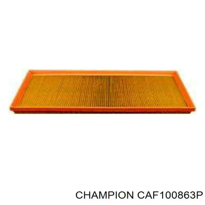 Купити C2S51377 Jaguar Автомобільний фільтр повітря