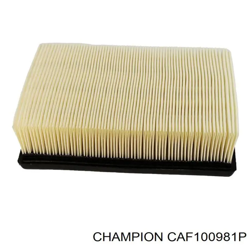 Фільтр повітряний Champion CAF100981P