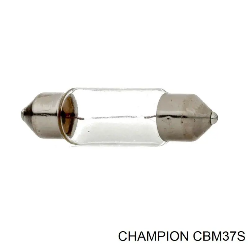 CBM37S Champion лампочка плафону освітлення салону/кабіни