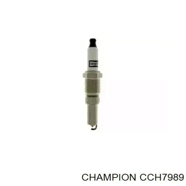  CCH7989 Champion