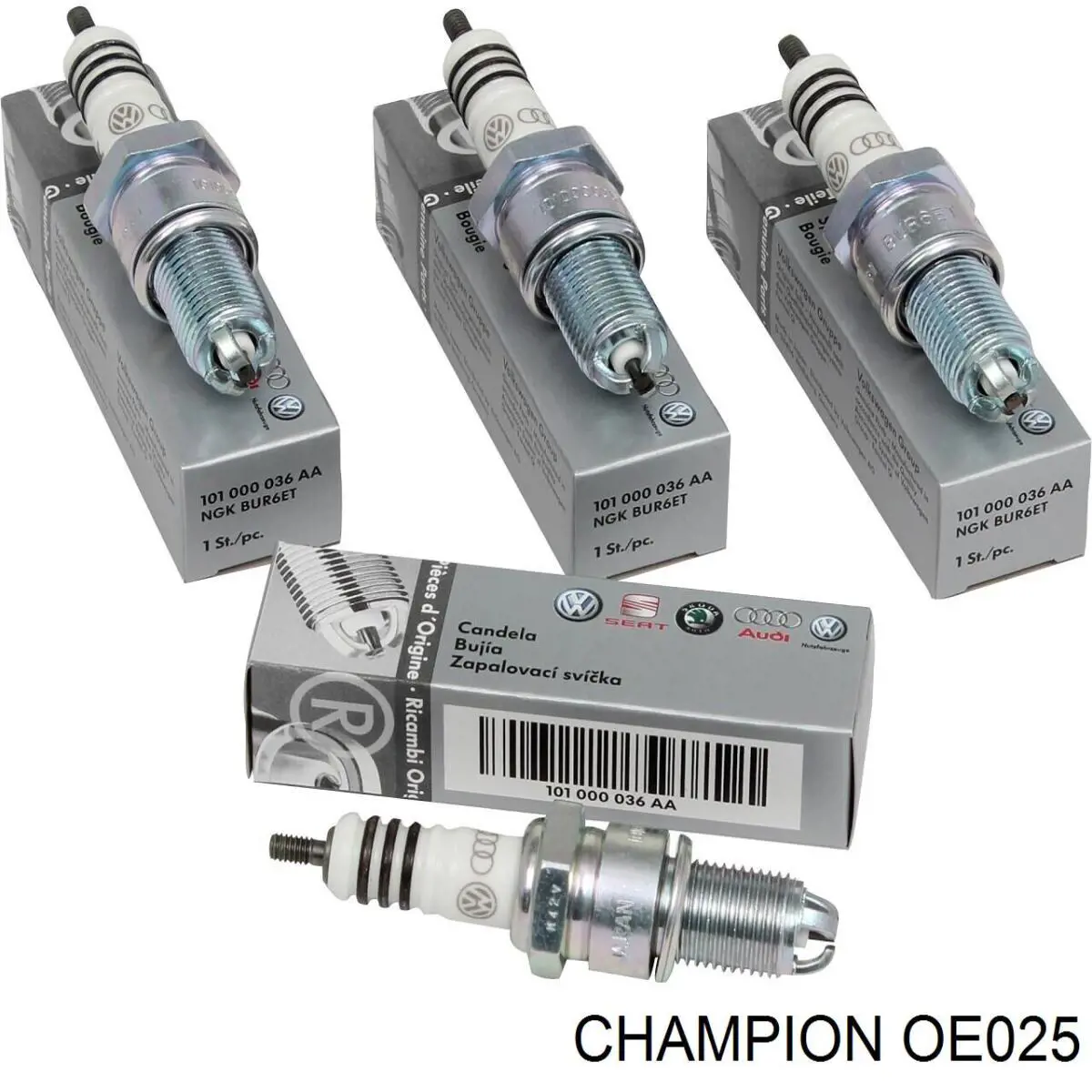 OE025 Champion 