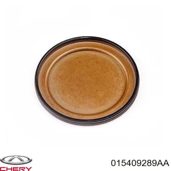 Купити 015409289AA Chery Заглушка задньої кришки КПП