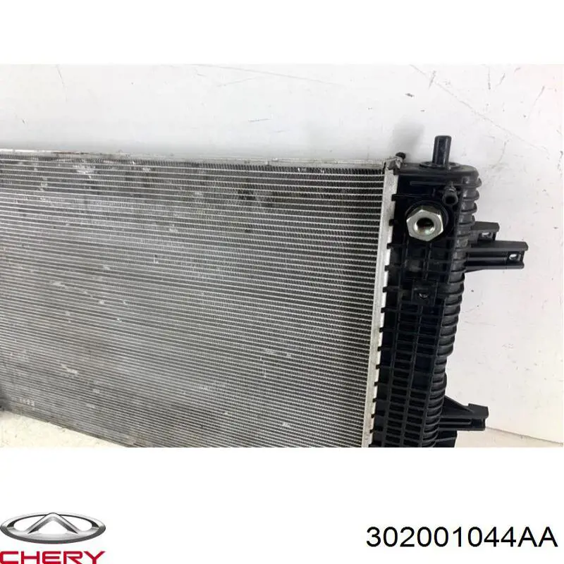 302001044AA Chery 