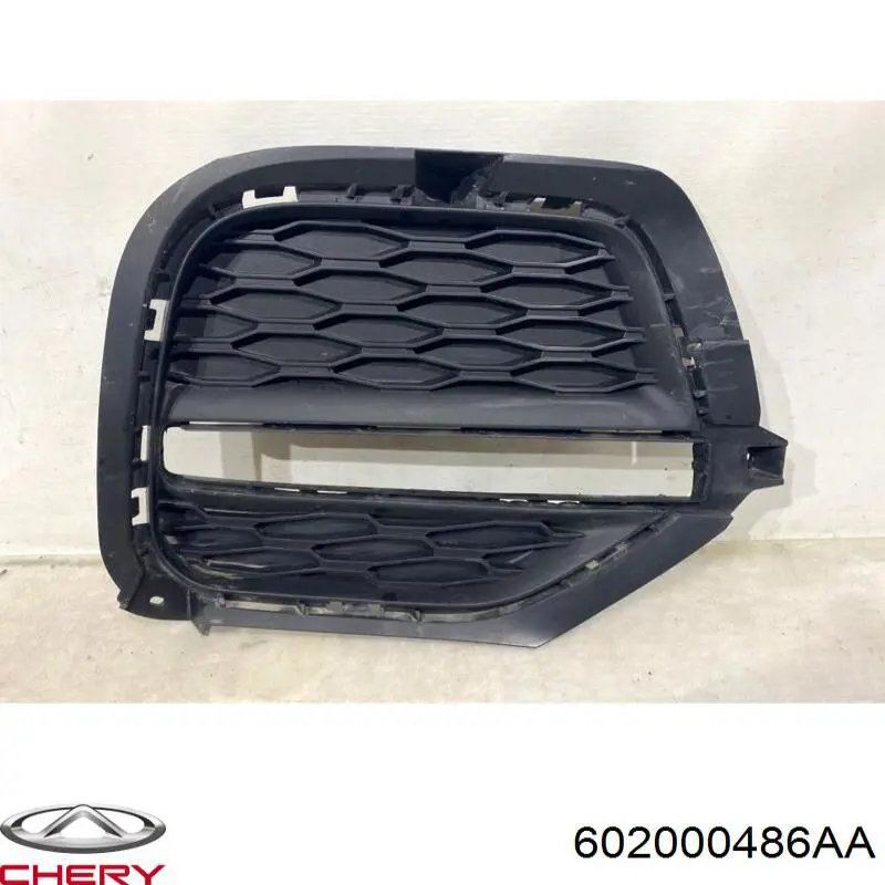 602000486AA Chery 