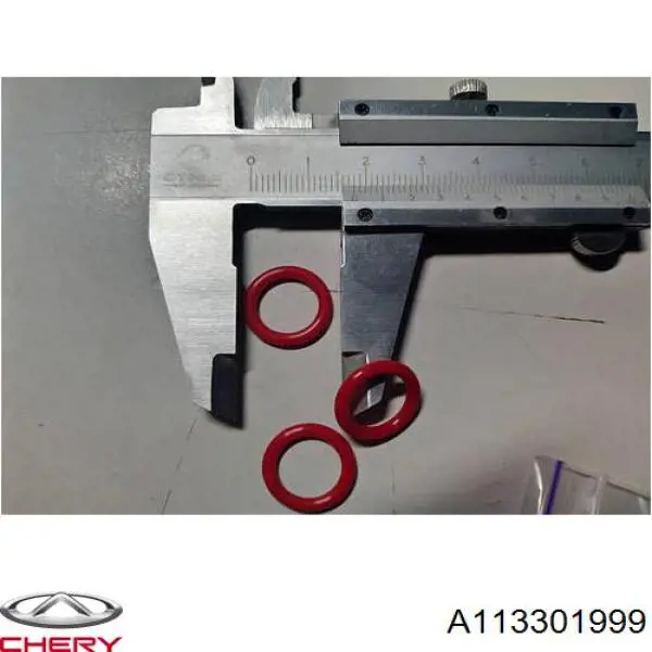  A113301999 Chery