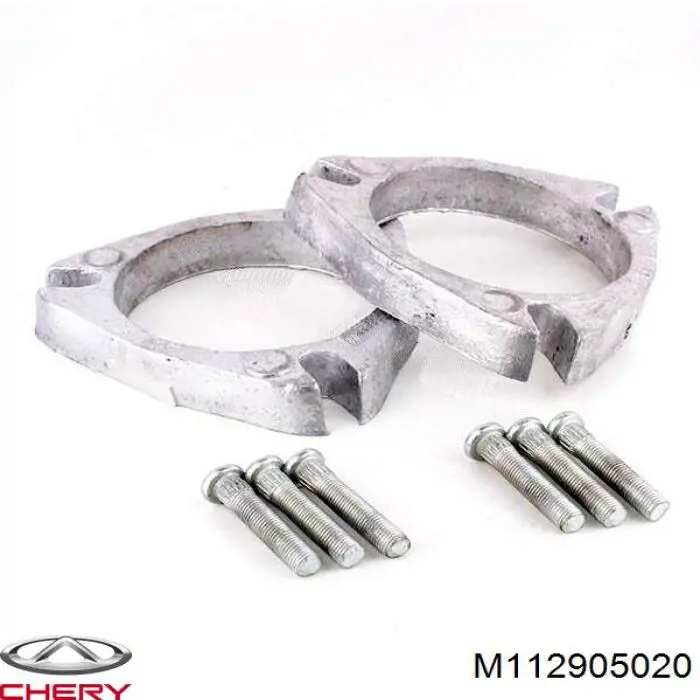 M112905020 Chery Амортизатор передньої підвіски