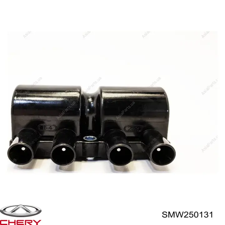 SMW250131 Chery 