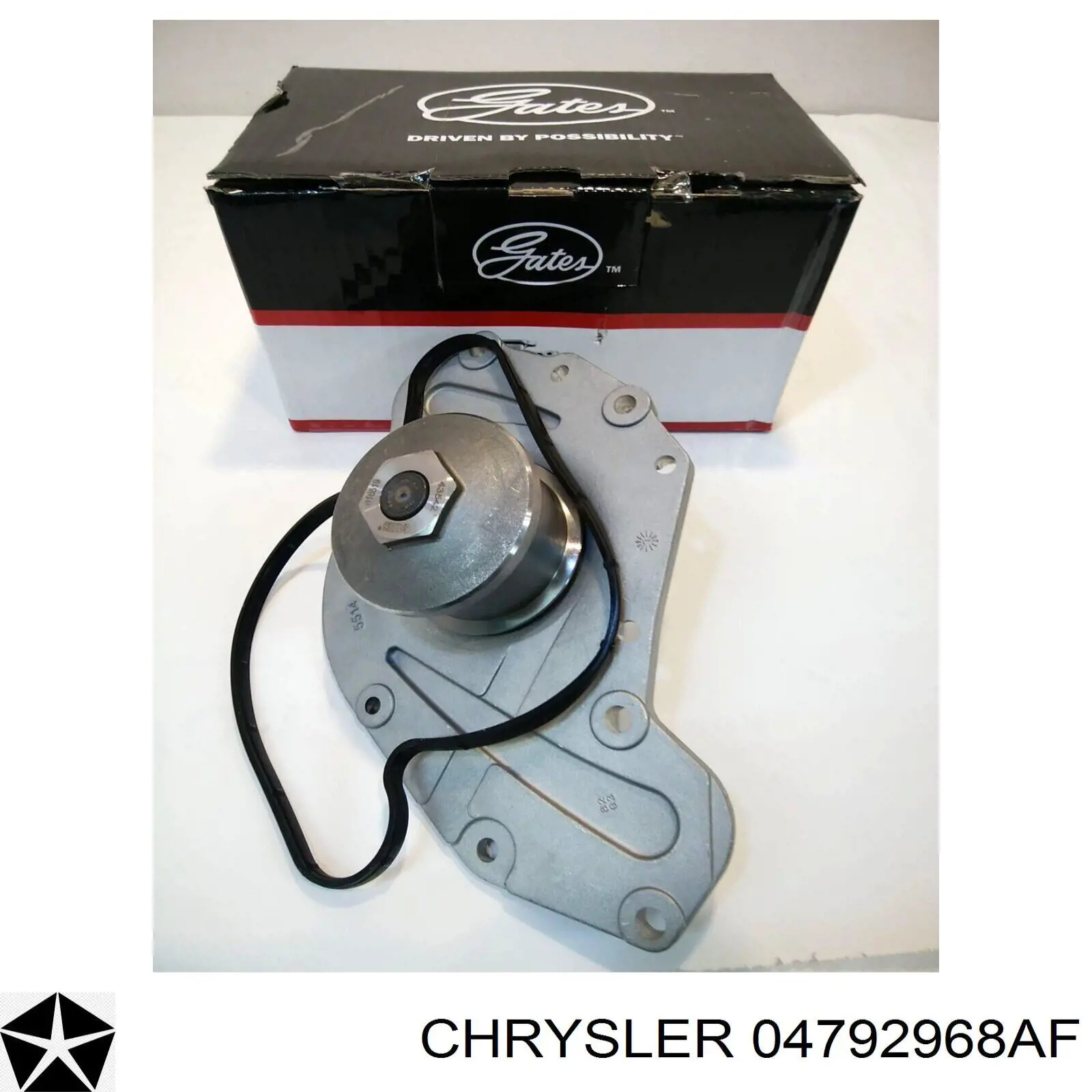 Помпа охолодження Chrysler 04792968AF ціна, від 48.85 USD