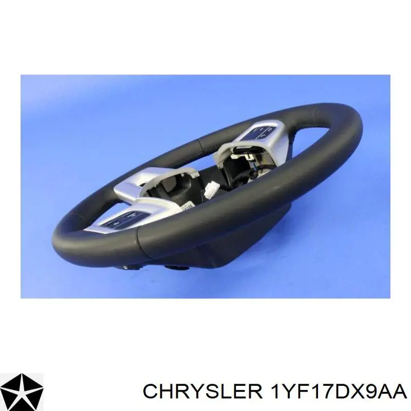 1RU61DX9AL Chrysler 