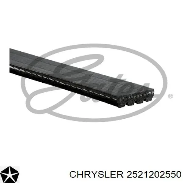 2521202550 Chrysler ремінь приводний, агрегатів