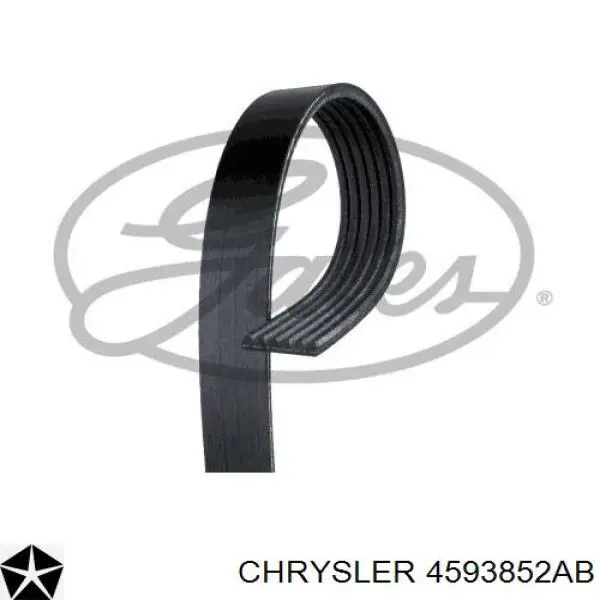 4593852AB Chrysler Поліклиновий ремінь