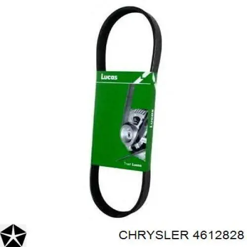 Ремінь генератора Q4060987 Chrysler